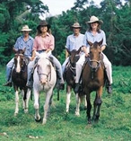 Kuranda Horse Riding Adventure