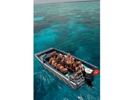 Haba Great Barrier Reef Adventure Haba Great Barrier Reef Adventure
