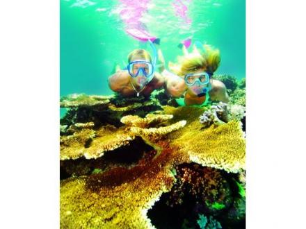 Haba Great Barrier Reef Adventure Haba Great Barrier Reef Adventure