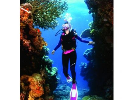Haba Great Barrier Reef Adventure Haba Great Barrier Reef Adventure