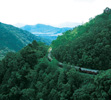 Kuranda