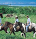 Horse Riding & ATV (Quad Bike) Adventures