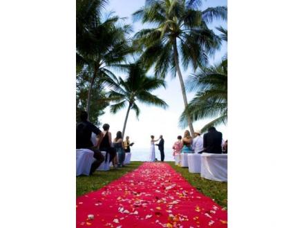 Port Douglas Wedding Professionals