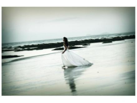 Port Douglas Wedding Professionals