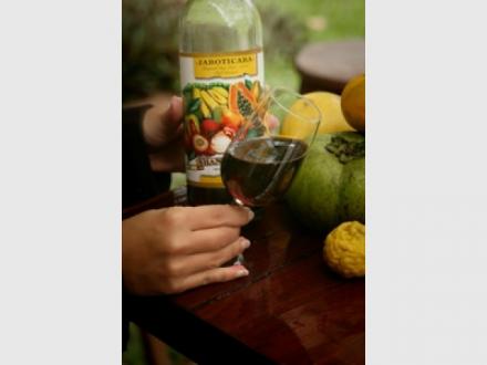 Shannonvale Tropical Fruit Winery