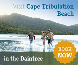 Cape Tribulation Tours