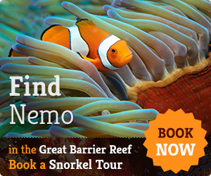 Find Nemo Great Barrier Reef