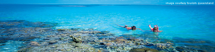 Great Barrier Reef Dives - Scuba & Snorkeling