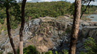 All Inclusive Kuranda Day Tour from Port Douglas